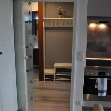 Apartment Ferienwohnung Harzer Waldwichtel