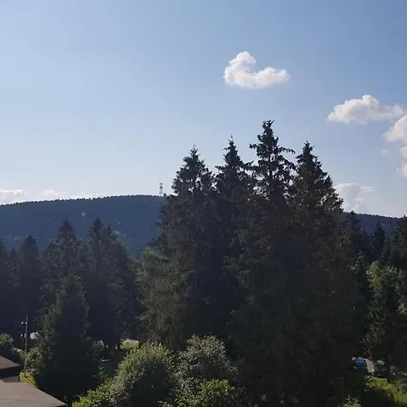 Apartmán Ferienwohnung Harzer Waldwichtel *