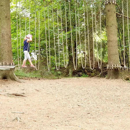 Apartmán Ferienwohnung Harzer Waldwichtel *