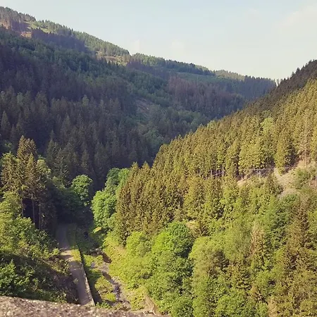 Ferienwohnung Harzer Waldwichtel * Goslar