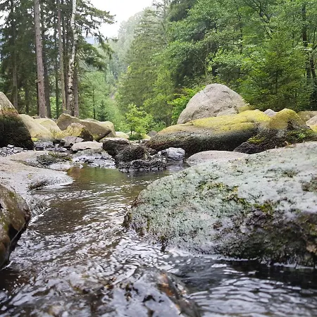 Ferienwohnung Harzer Waldwichtel Apartmán *