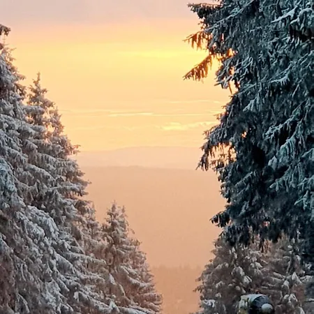 Ferienwohnung Harzer Waldwichtel Apartmán