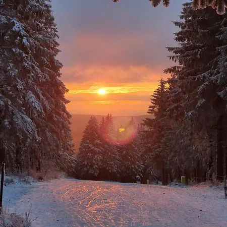 Ferienwohnung Harzer Waldwichtel Apartmán *