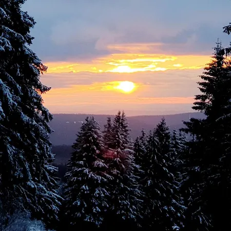 Ferienwohnung Harzer Waldwichtel Apartmán *