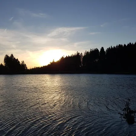 Ferienwohnung Harzer Waldwichtel *