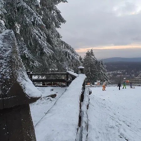 Ferienwohnung Harzer Waldwichtel Apartmán