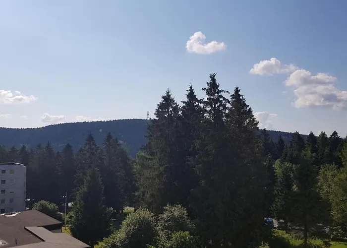 アパート Ferienwohnung Harzer Waldwichtel *