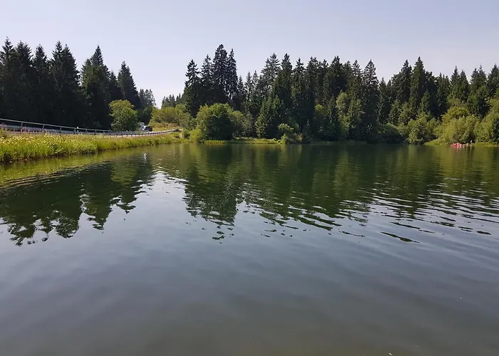 Ferienwohnung Harzer Waldwichtel *