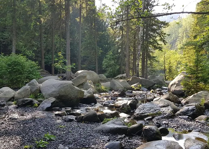 アパート Ferienwohnung Harzer Waldwichtel