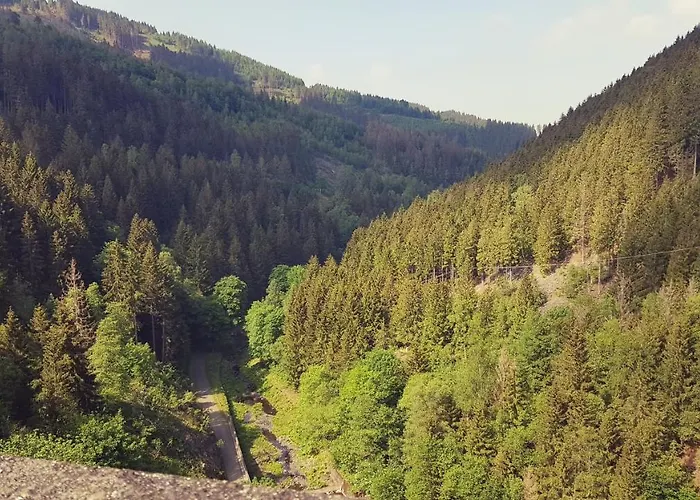 Ferienwohnung Harzer Waldwichtel * ゴスラー