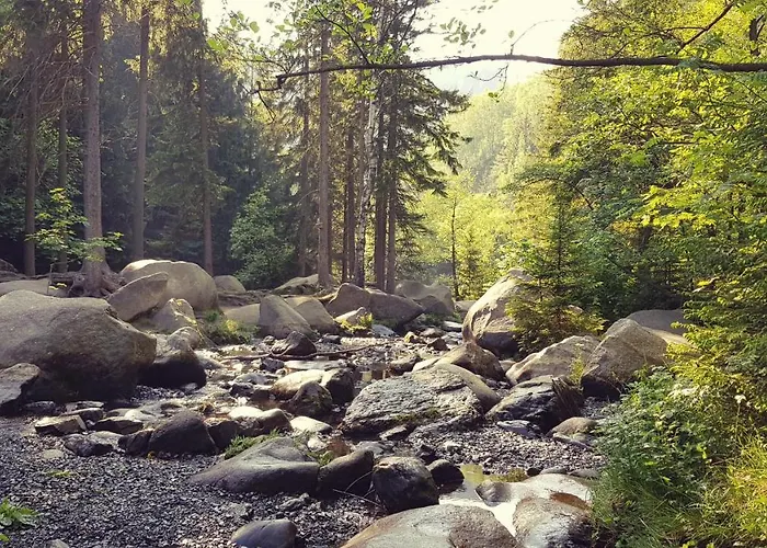 Ferienwohnung Harzer Waldwichtel ゴスラー