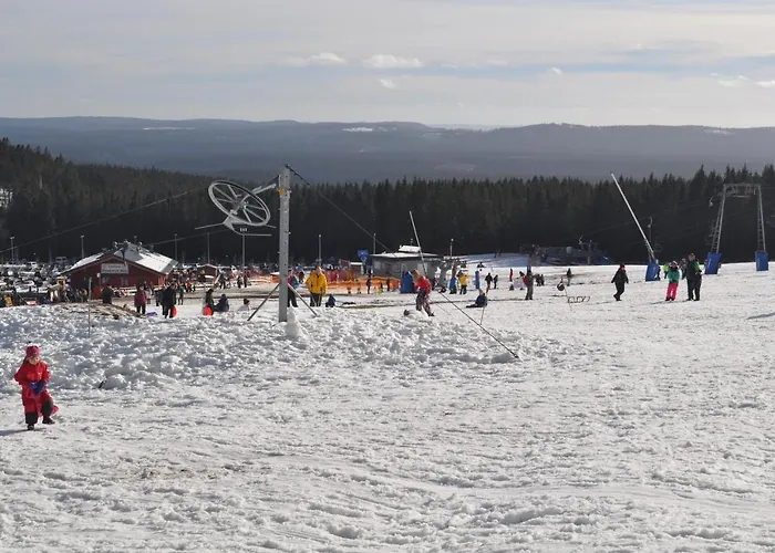 Ferienwohnung Harzer Waldwichtel アパート ゴスラー