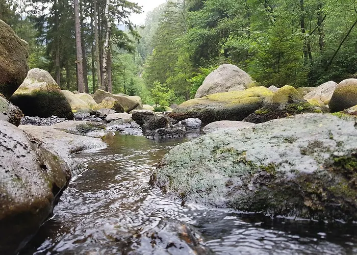 Ferienwohnung Harzer Waldwichtel アパート *