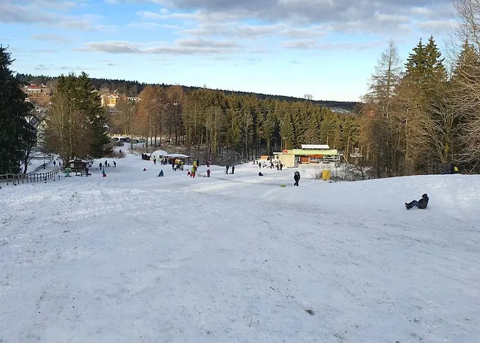 Ferienwohnung Harzer Waldwichtel アパート ゴスラー