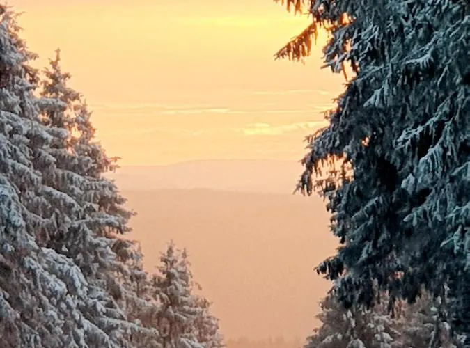 Ferienwohnung Harzer Waldwichtel アパート