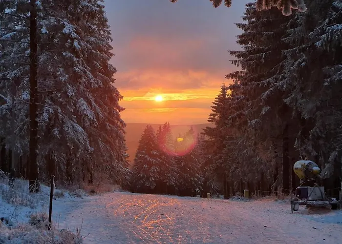 Ferienwohnung Harzer Waldwichtel アパート *