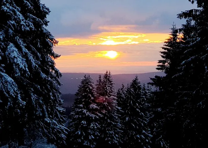 Ferienwohnung Harzer Waldwichtel アパート *