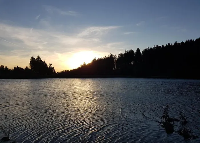 Ferienwohnung Harzer Waldwichtel *