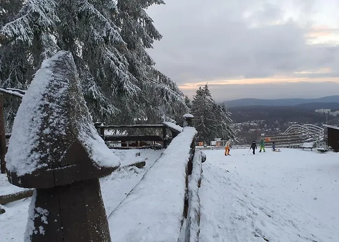 Ferienwohnung Harzer Waldwichtel アパート